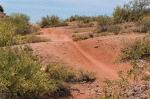 Papago Park - Rollers