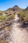 Trail 340 - Smooth Trail