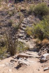 Trail 340 - Rocky
