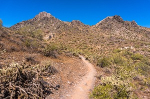 Trail 340