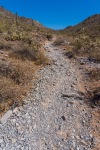 Trail 340 - Loose Trail